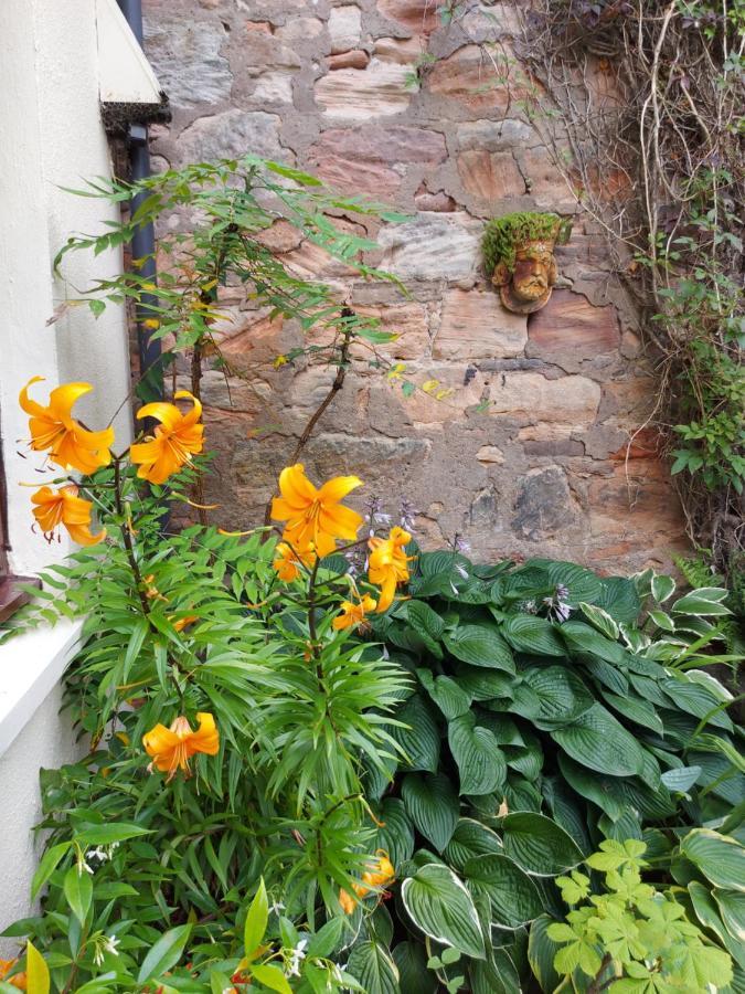 Berwick Upon Tweed Oil Mill Lane Holiday Cottage מראה חיצוני תמונה
